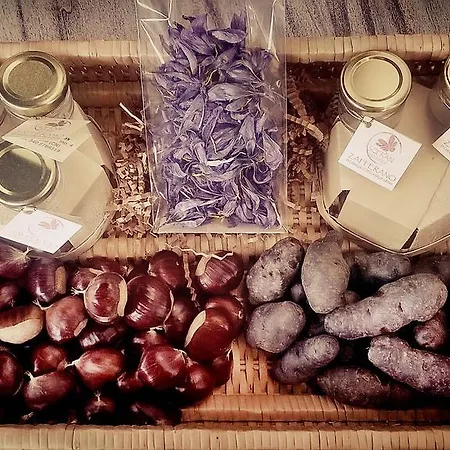 Lu Garun Rus Valdieri