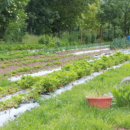 Lu Garun Rus Valdieri