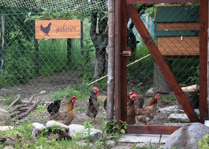 路加仑鲁斯农家乐 *