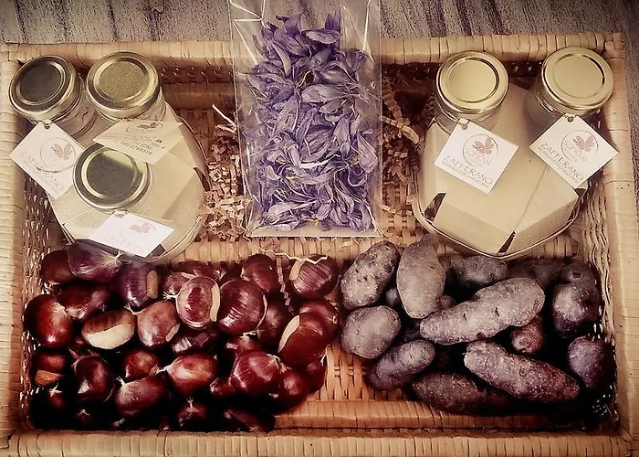 路加仑鲁斯农家乐 瓦尔迪耶里