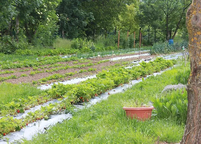 路加仑鲁斯农家乐 瓦尔迪耶里